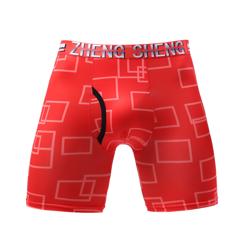 Bielizna Męska Bokserki Homme  – Long Leg Trunk Men recenzja i cena
